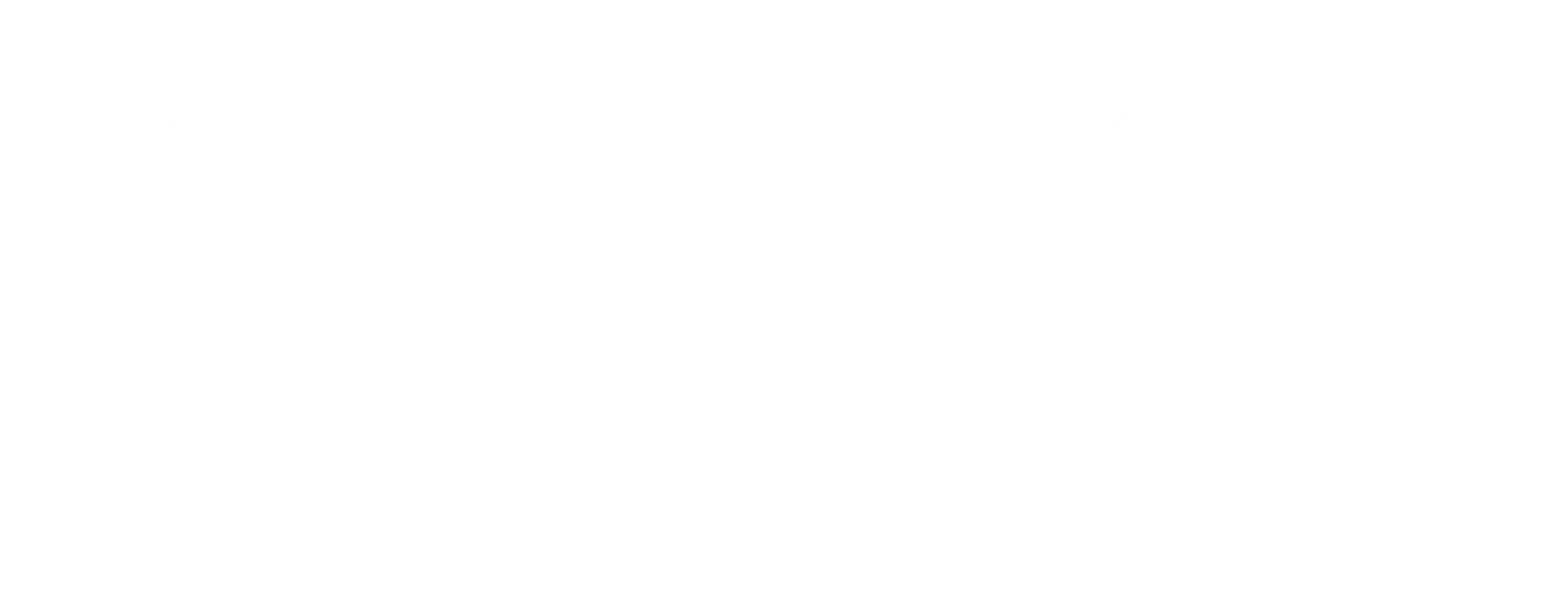 Foco em Seguros - Horizontal Branco